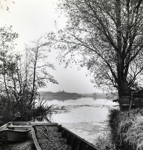 841016 Gezicht op de als natuurgebied ingerichte Maarsseveense Plassen bij Maarsseveen (gemeente Maarssen).